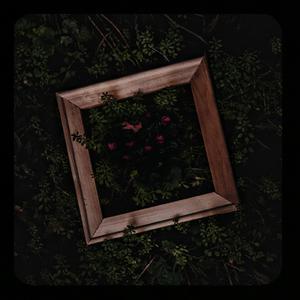 女性白白嫩嫩大馒头图片
