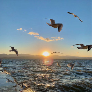 女性白白嫩嫩大馒头图片
