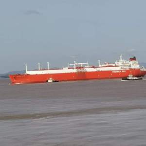 女性白白嫩嫩大馒头图片
